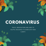 Travel Observations in a Coronavirus World
