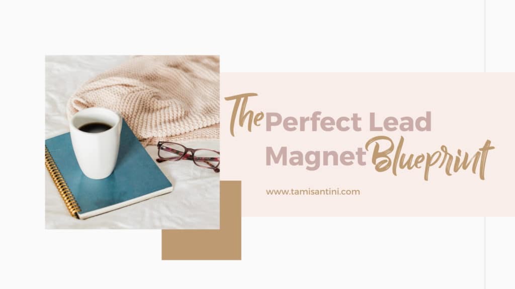 The Perfect Lead Magnet Blueprint